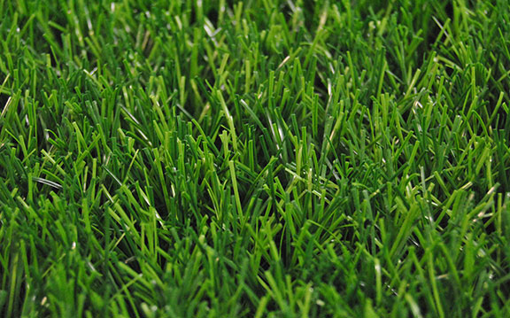 vestacka trava xj competition