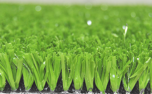 vestacka trava za tenis