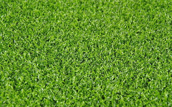 vestacka trava za dvoriste put