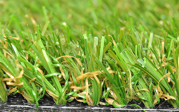 vestacka trava highlands presek