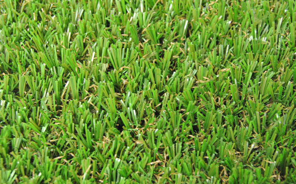 vestacka trava za bastu highlands