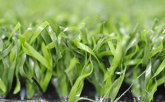 vestacka trava put presek