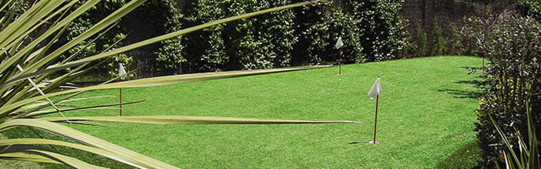 vestacka trava za dvoriste put